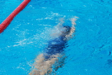 Enlarge photo 204