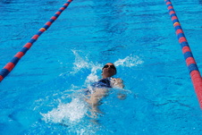 Enlarge photo 210