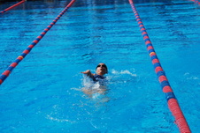 Enlarge photo 214
