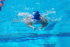 Enlarge photo 216
