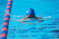 Enlarge photo 221