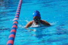 Enlarge photo 223