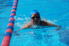 Enlarge photo 226