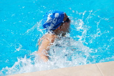 Enlarge photo 231