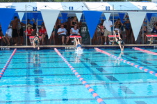 Enlarge photo 240