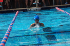 Enlarge photo 241