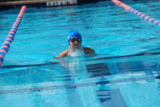 Enlarge photo 244