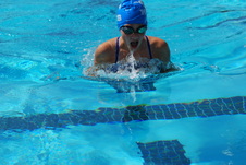 Enlarge photo 249