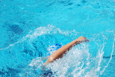 Enlarge photo 251
