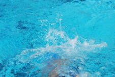 Enlarge photo 253