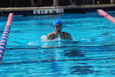 Enlarge photo 255
