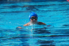 Enlarge photo 254