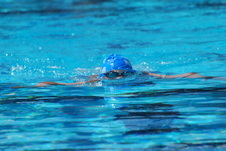 Enlarge photo 258