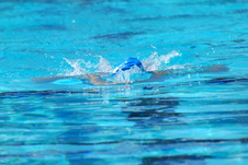 Enlarge photo 259