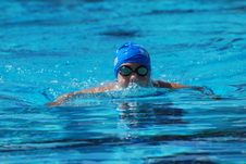 Enlarge photo 261