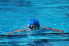 Enlarge photo 262