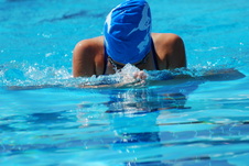Enlarge photo 265