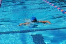 Enlarge photo 268