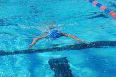 Enlarge photo 272