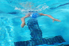 Enlarge photo 274