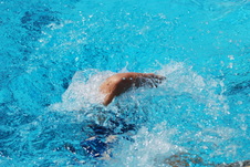 Enlarge photo 279