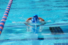 Enlarge photo 291