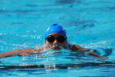 Enlarge photo 308