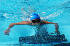 Enlarge photo 317