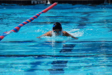 Enlarge photo 327