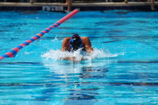 Enlarge photo 329