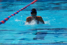 Enlarge photo 328