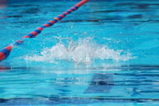 Enlarge photo 330