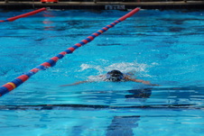 Enlarge photo 334