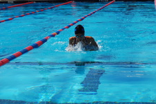 Enlarge photo 335