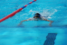 Enlarge photo 340