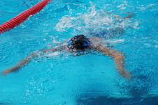 Enlarge photo 339