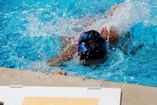 Enlarge photo 341