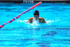 Enlarge photo 343