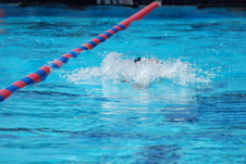 Enlarge photo 346