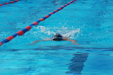 Enlarge photo 357