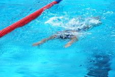 Enlarge photo 359