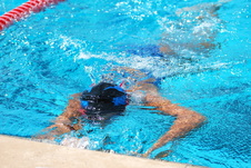 Enlarge photo 361