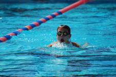 Enlarge photo 378