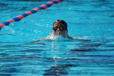 Enlarge photo 382