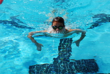 Enlarge photo 388