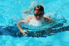 Enlarge photo 391