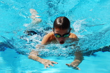 Enlarge photo 392