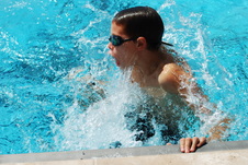 Enlarge photo 393