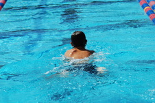 Enlarge photo 397
