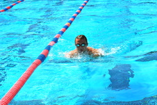Enlarge photo 407